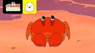 Capitão Caranguinho - Parte 2 | Ursos sem Curso | Cartoon Network